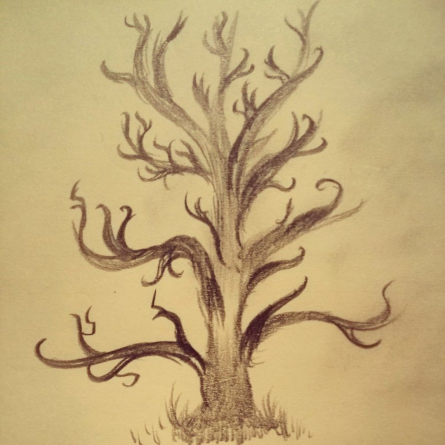 894x894 Simple Tree Sketch By Totalchecking - Simple Tree Sketch
