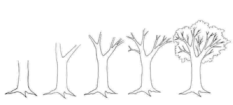802x363 S And Sketchesrhcom Sketch Of Using Rheasyus Sketch - Simple Tree Sketch