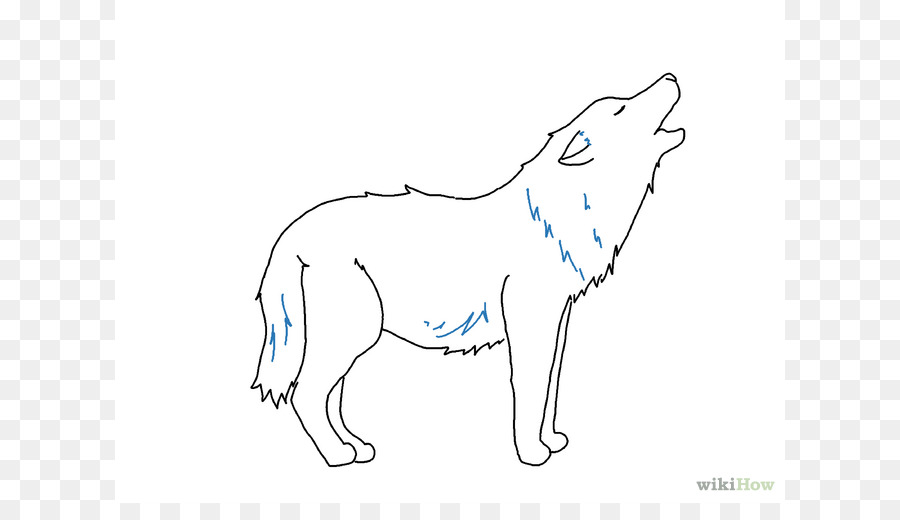 900x520 Gray Wolf Drawing Line Art Sketch - Simple Wolf Sketch