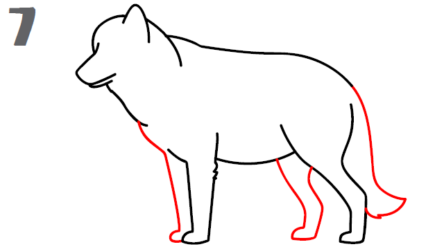 640x360 How To Draw A Wolf - Simple Wolf Sketch
