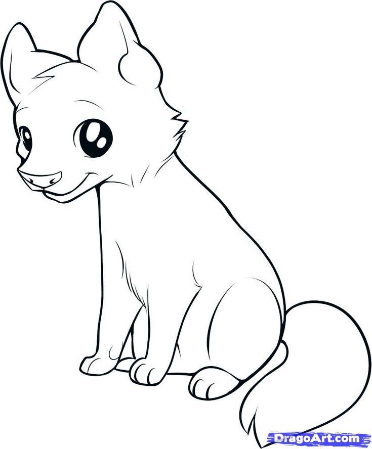 735x888 Pictures Cute Animals Drawing Easy Wolf, - Simple Wolf Sketch