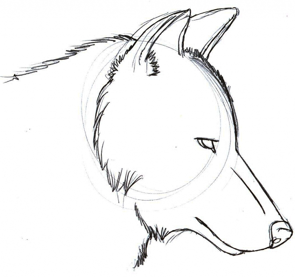 Featured image of post Easy Simple Wolf Drawing Step By Step : How to draw a howling wolf, step by step, drawing guide, by finalprodigy #wolf #drawing learn to draw a baby wolf.