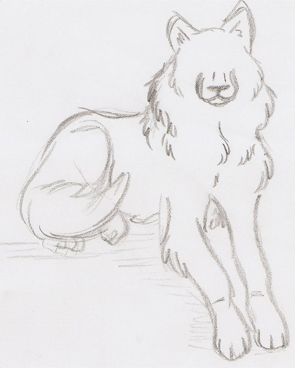 600x750 Simple Wolf Sketch By Lonewolfshadowuchiha - Simple Wolf Sketch