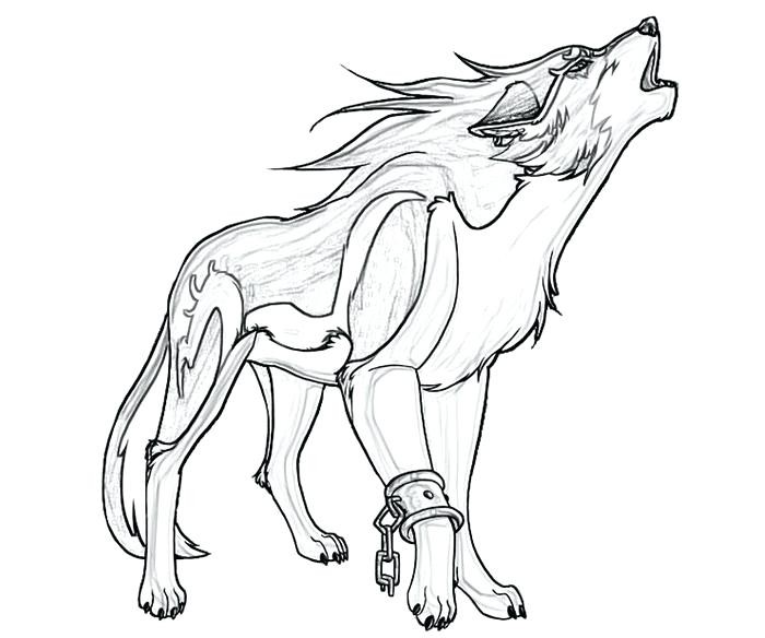 700x584 Coloring Pages Wolf Simple Drawing Pictures - Simple Wolf Sketch