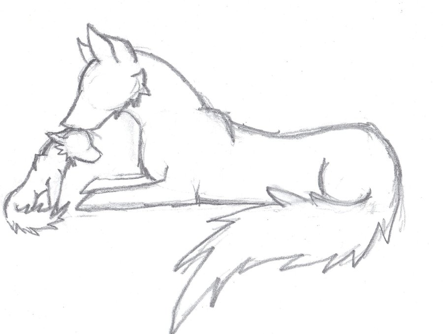 900x678 Drawn Wolf Basic - Simple Wolf Sketch