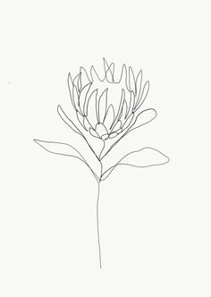 236x332 724 Best Flower Sketches Images In 2018 Ceramic - Single Flower Sketch