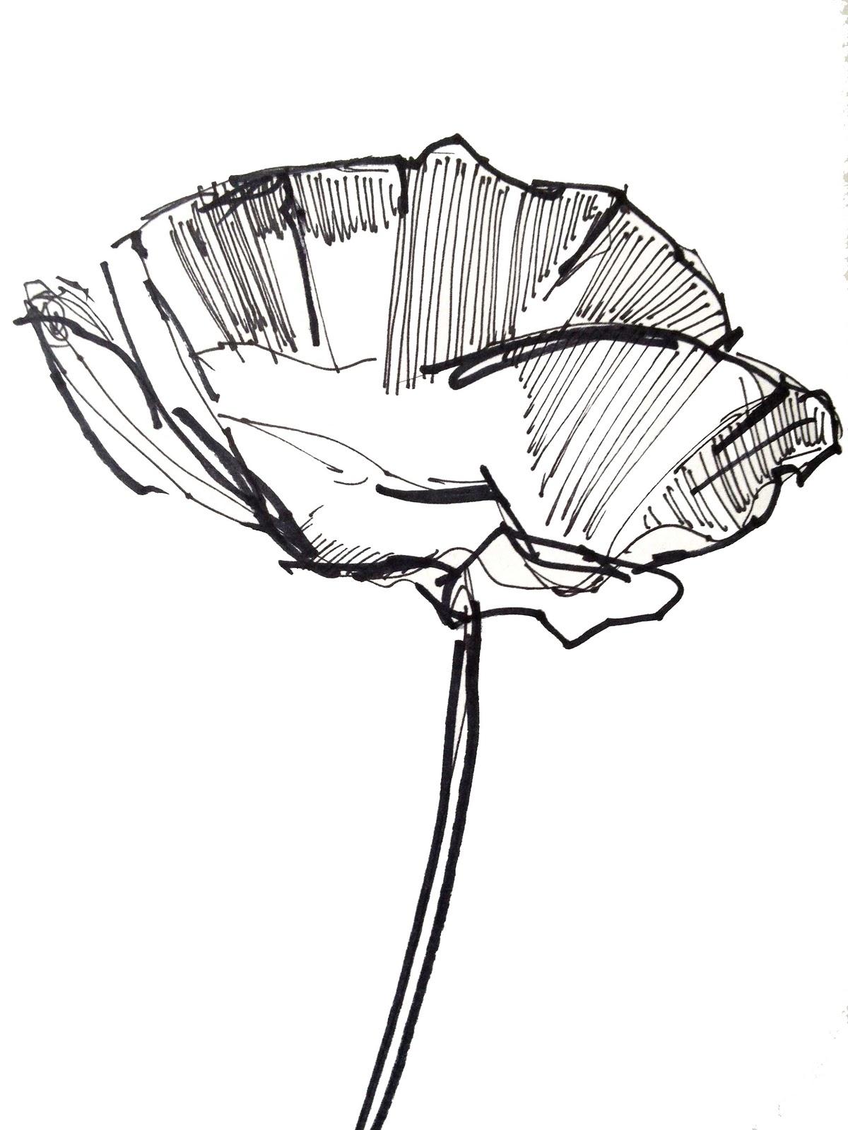1200x1600 Deborah May Flower Challenge Day Eight Sketches To - Single Flower Sketch