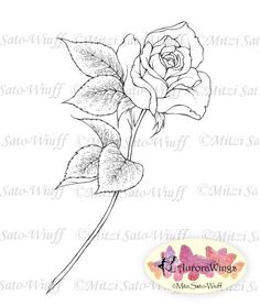 236x278 Rose With Falling Petals Tattoos Tattoos, Rose - Single Rose Sketch