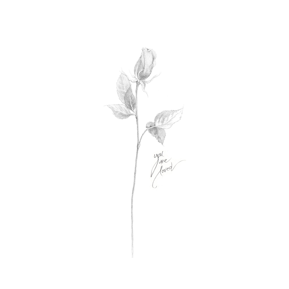 1000x1000 Single Rose Heirlooms Gallery - Single Rose Sketch