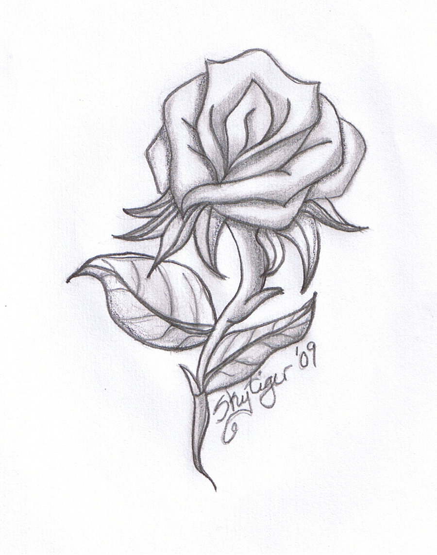 900x1142 Single Rose In Pencil Sketch Pencil Drawing At Getdrawings Free - Single Rose Sketch