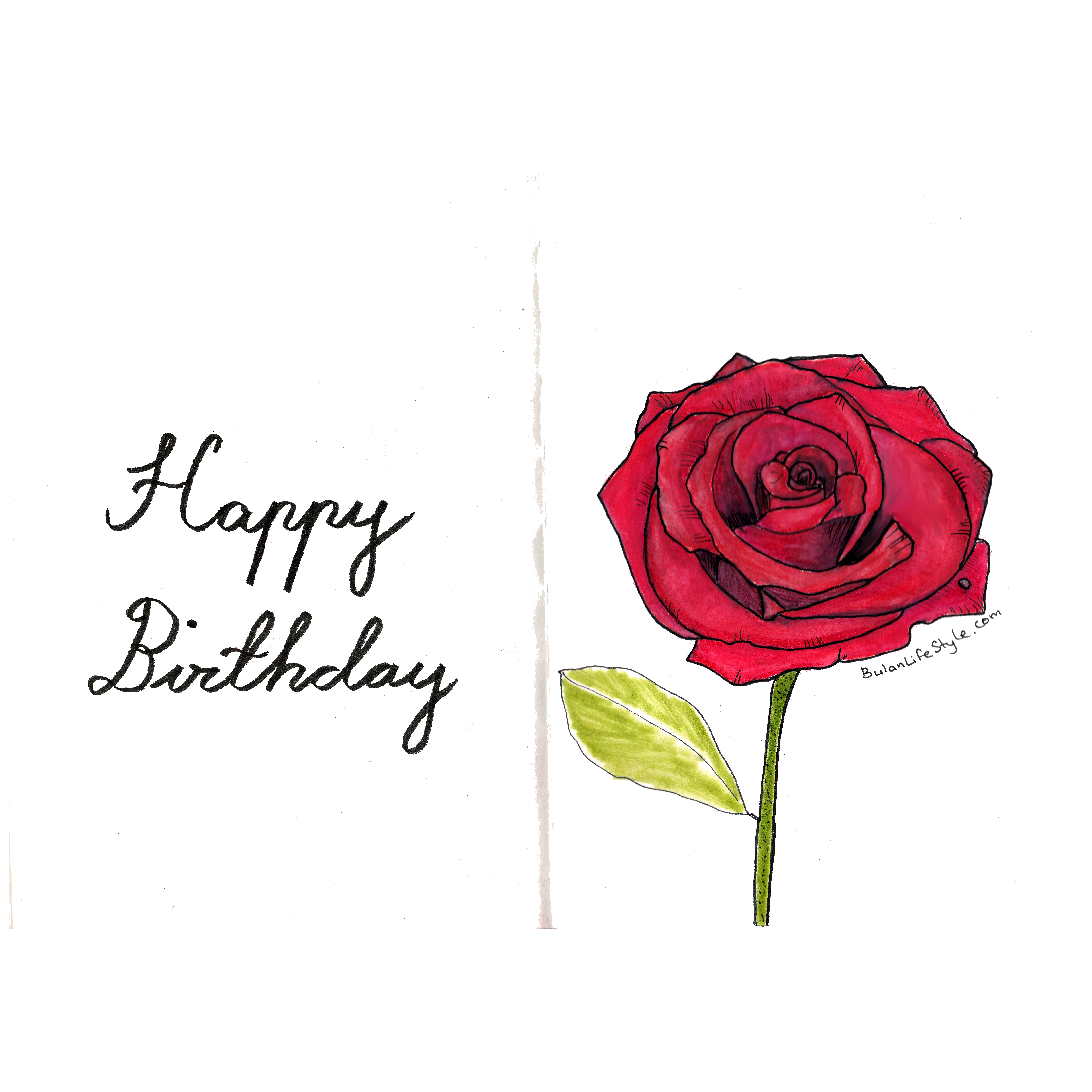 7087x7087 Roses - Single Rose Sketch