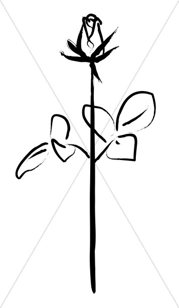 357x612 Black And White Sketched Rose Church Rose Clipart - Single Rose Sketch