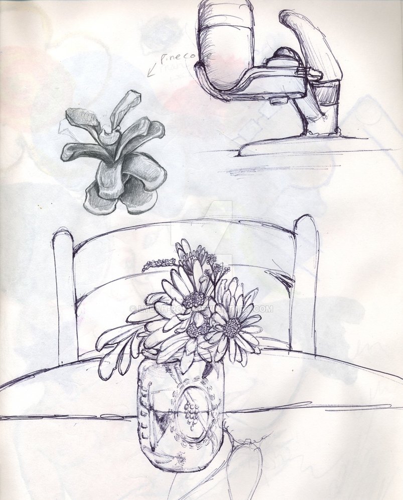803x995 Flower And Sink Sketch By Lylah Rose - Sink Sketch