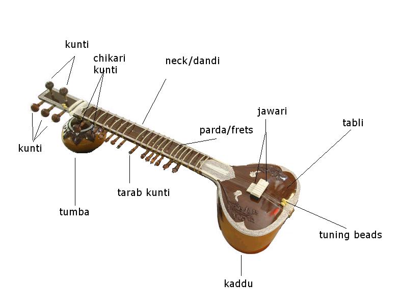 787x605 Parts Of The Sitar - Sitar Sketch