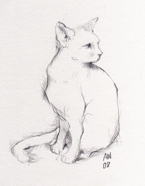 570x732 Sitting Cat - Sitting Cat Sketch