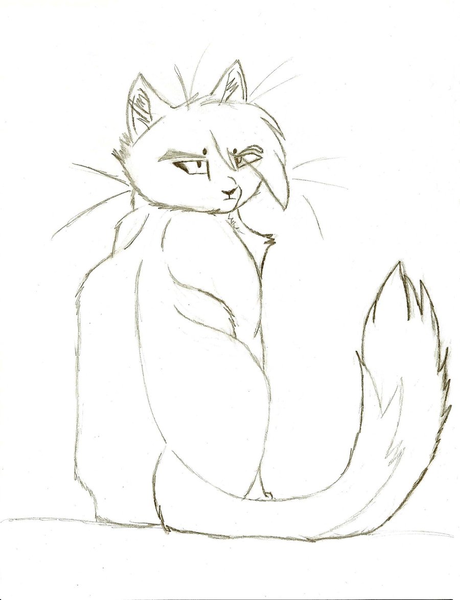 900x1175 Sitting Warrior Cat Sketch By Mistybubblez - Sitting Cat Sketch