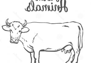 300x210 Sketch Of Domestic Animals Sitting Cat Sketch Stock Illustration - Sitting Cat Sketch