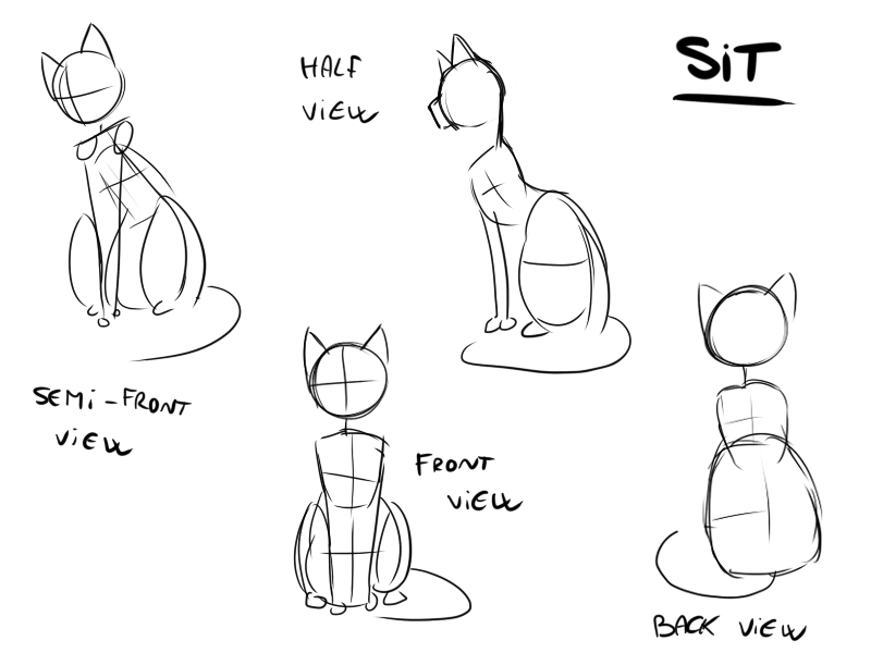800x600 Tutorial - Sitting Cat Sketch
