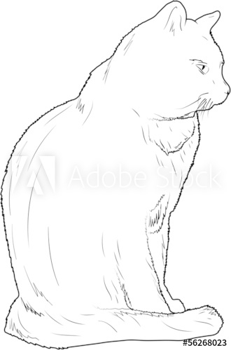 330x500 Vector Sketch Of Sitting Cat On A White Background - Sitting Cat Sketch