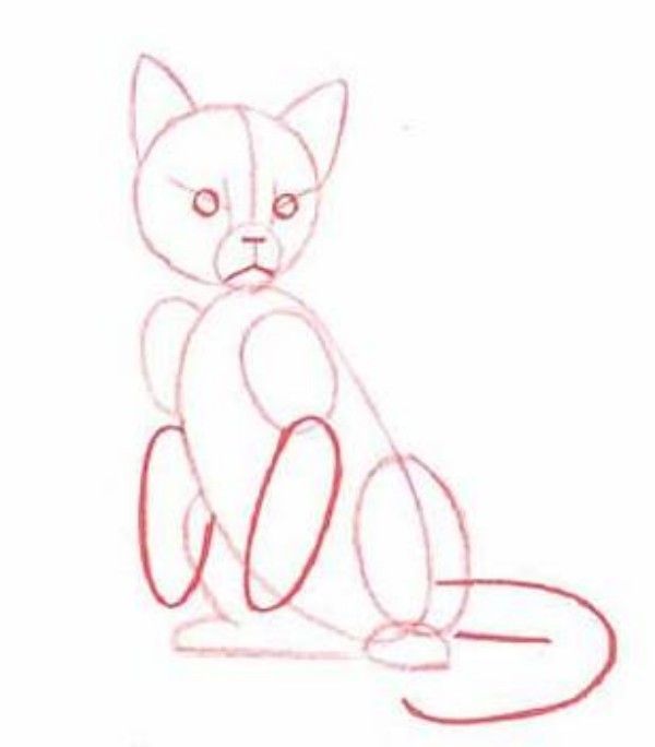 600x684 How To Draw Sitting Cat Step By Step 4 Applause These People - Sitting Cat Sketch