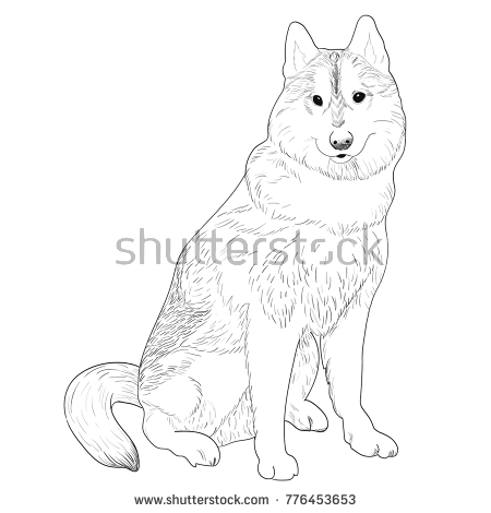 450x470 Collection Of Husky Sitting Drawing High Quality, Free - Sitting Dog Sketch