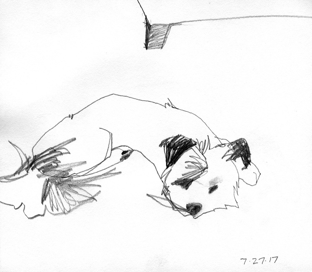 1000x873 Dog Sitting - Sitting Dog Sketch