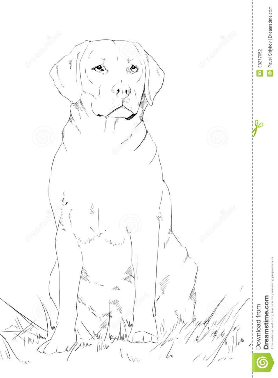957x1300 Dog Sitting Drawing Art Drawings, Dog Portraits - Sitting Dog Sketch