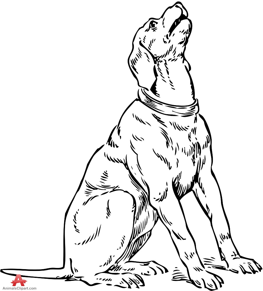 902x999 Sitting Dog Sketch - Sitting Dog Sketch
