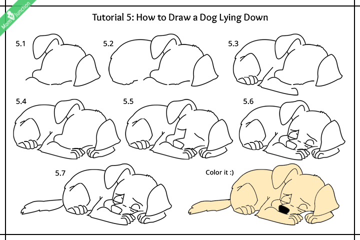 720x480 Step By Step Guide On How To Draw A Dog For Kids - Sitting Dog Sketch