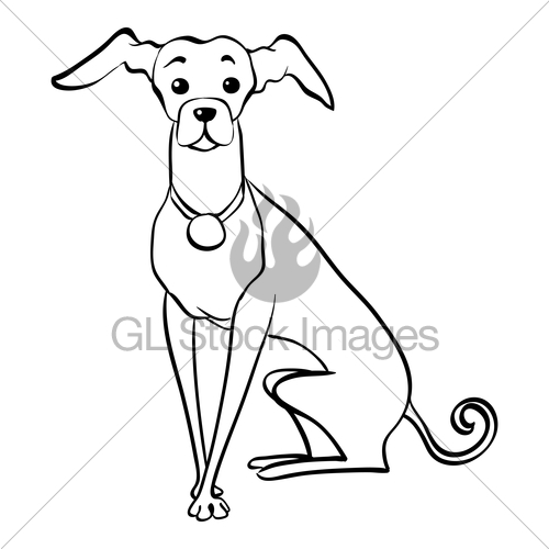 500x500 Vector Sketch Funny Italian Greyhound Dog Sitting Gl Stock Images - Sitting Dog Sketch