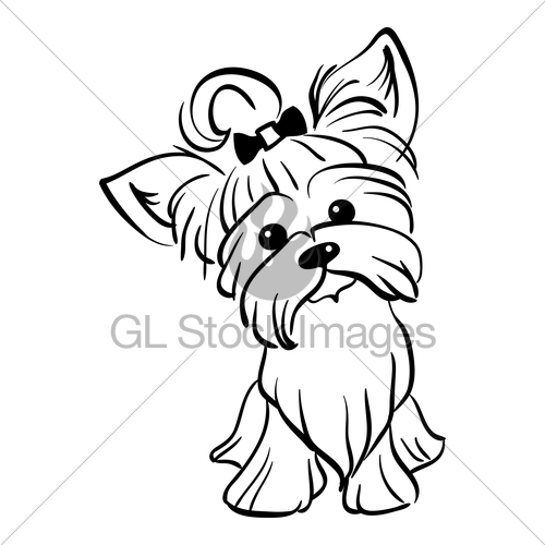 500x500 Vector Sketch Funny Yorkshire Terrier Dog Sitting Gl Stock Images - Sitting Dog Sketch