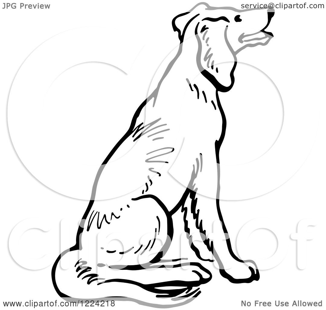 1080x1024 Clipart Of A Black And White Happy Sitting Dog - Sitting Dog Sketch