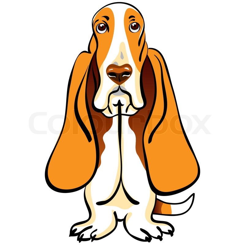 800x800 Color Sketch Of The Dog Basset Hound Breed Sitting Stock Vector - Sitting Dog Sketch