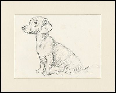 400x322 Dachshund Charming Sitting Dog Lucy Dawson Dog Art Sketch Print - Sitting Dog Sketch