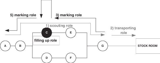 648x256 Situation Sketch Of The Plant In The Third Case Study Download - Situation Sketch