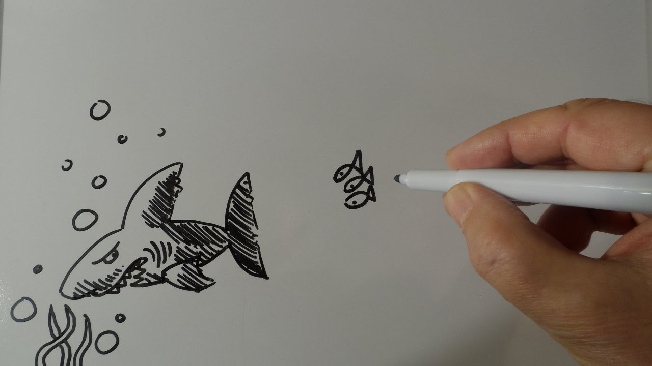 1280x720 The Force, Drawing A Shark Cartoon, Situation Caricature - Situation Sketch
