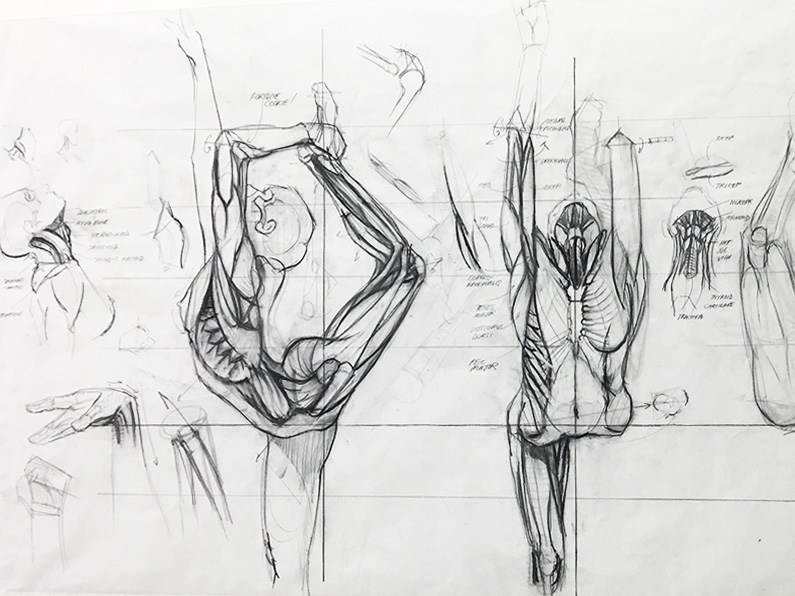 795x596 Liposuction - Six Pack Sketch