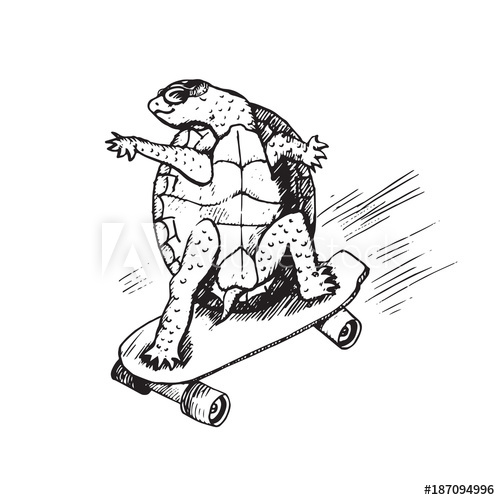 500x500 Cartoon Character Of Turtle In Glasses On Skateboard, Hand Drawn - Skateboard Sketch