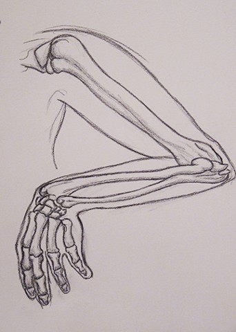 342x480 Kim Putnam - Skeleton Arm Sketch