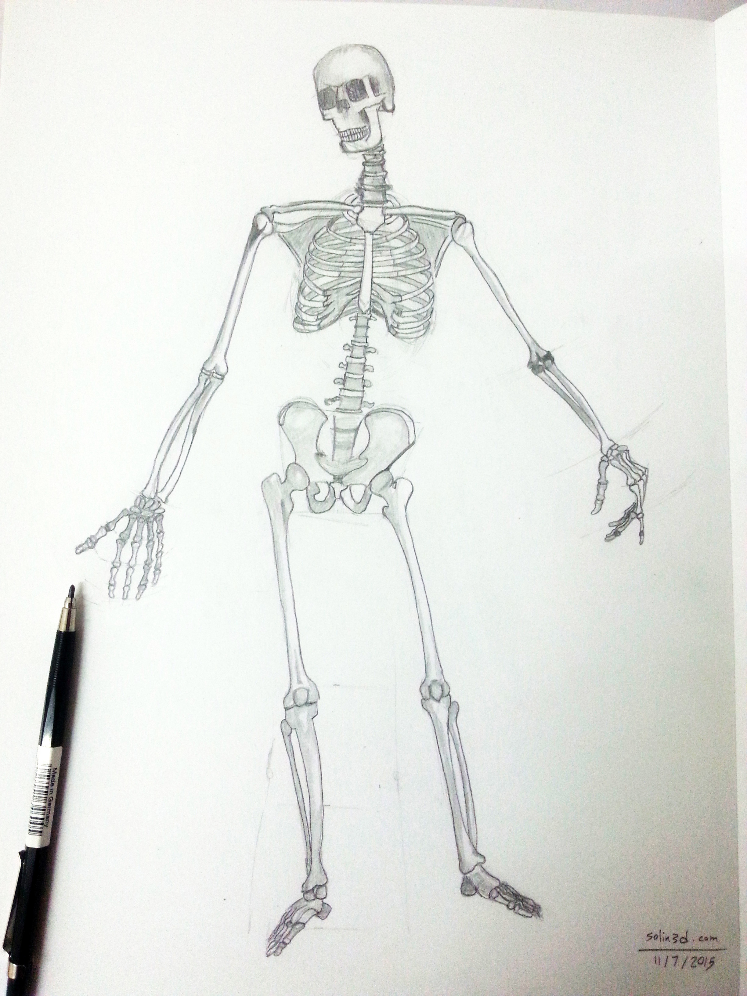 Скелет для рисования аниме