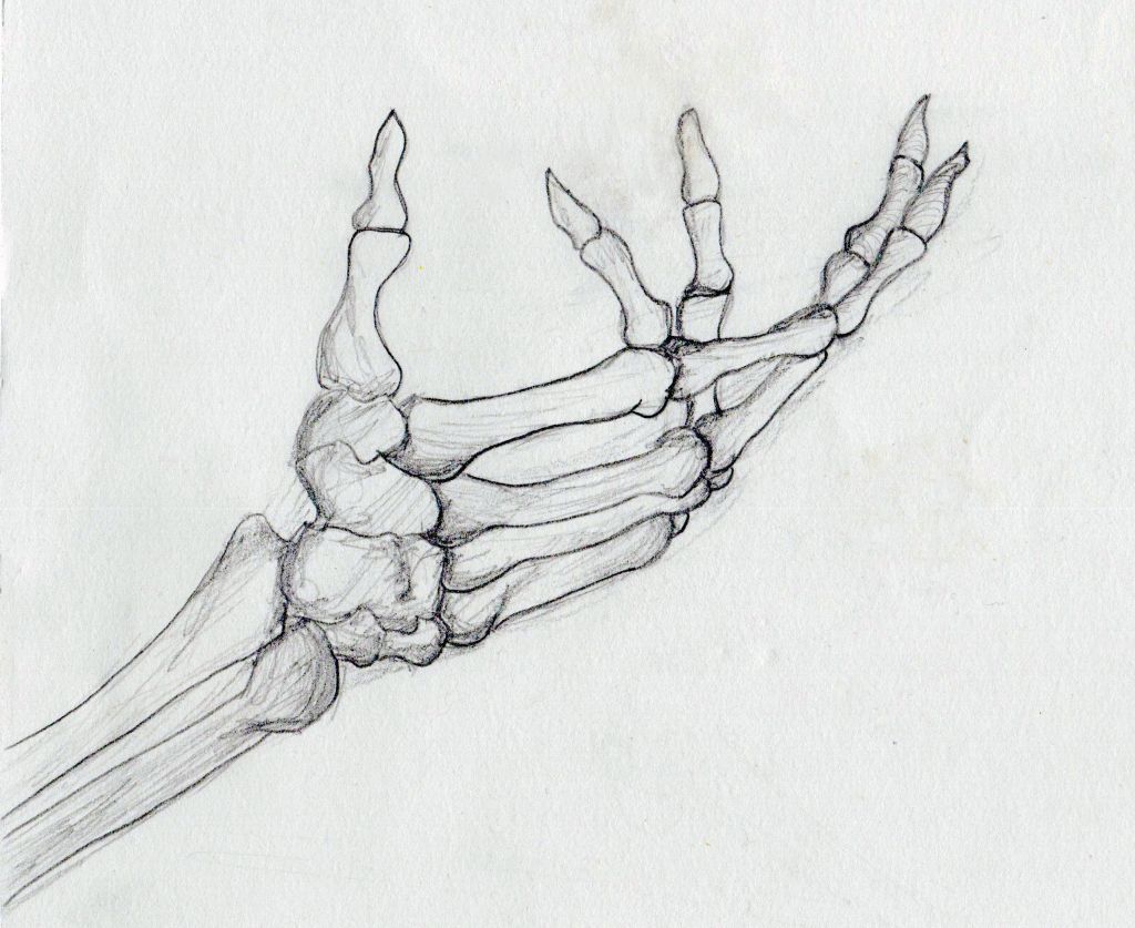 1024x837 Skeleton Hand Drawing Skeleton Drawings From The Library Of Nat - Skeleton Arm Sketch