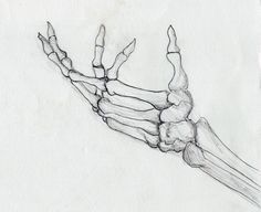236x192 Skeleton Hand Drawing. Drawing Drawings, Skeleton - Skeleton Arm Sketch