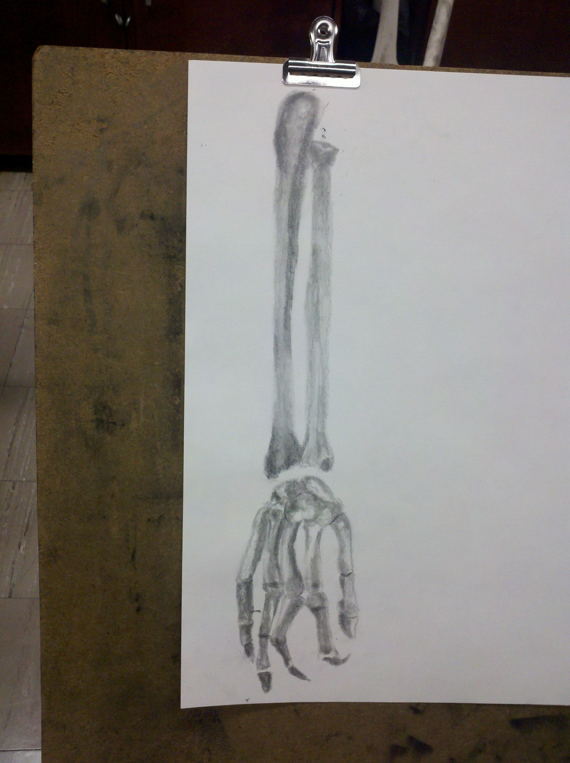1936x2592 Drawing Rastersize Me - Skeleton Arm Sketch