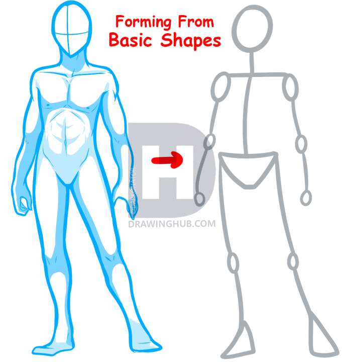 695x720 How To Draw Anime Bodies, Draw Anime Body Figures, Step By Step - Skeleton Body Sketch