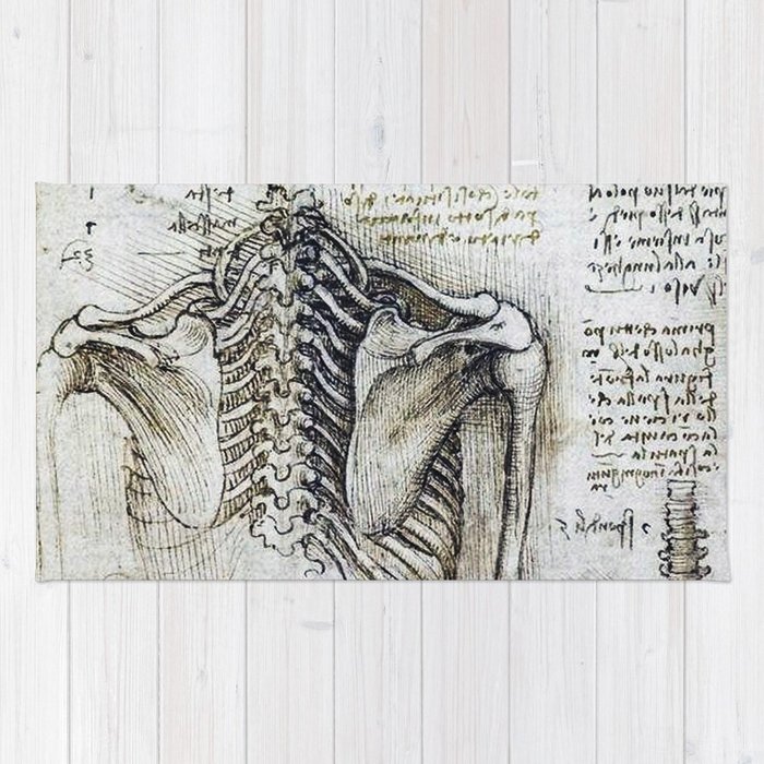 700x700 Leonardo Da Vinci Human Body Sketches - Skeleton Body Sketch