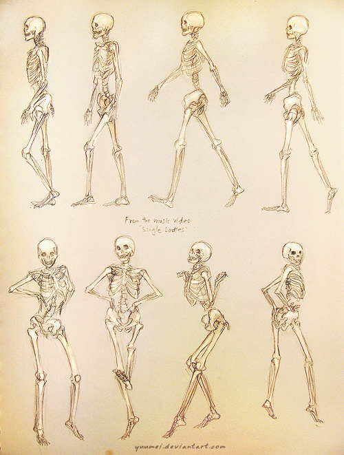 500x661 Single Ladies Skeleton Study By Yuumei - Skeleton Body Sketch