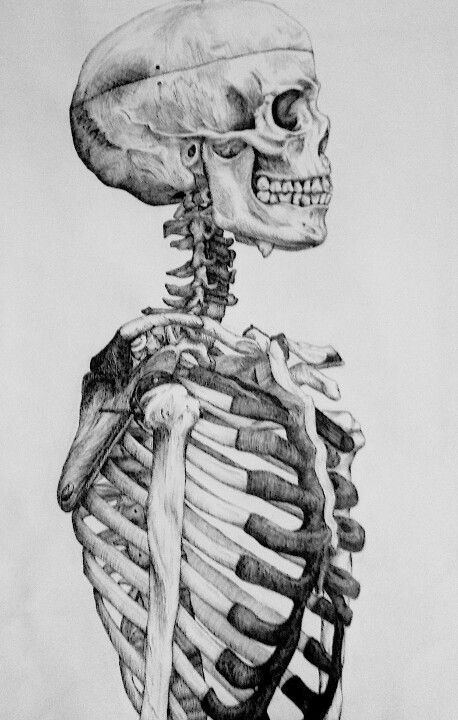 458x720 85% Of The Phosphorus Found In Your Body Lies In Your Bones - Skeleton Body Sketch