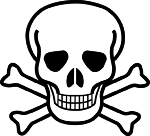 Skeleton Face Sketch