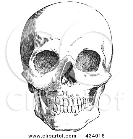 450x470 Skeleton Face Sketch - Skeleton Face Sketch