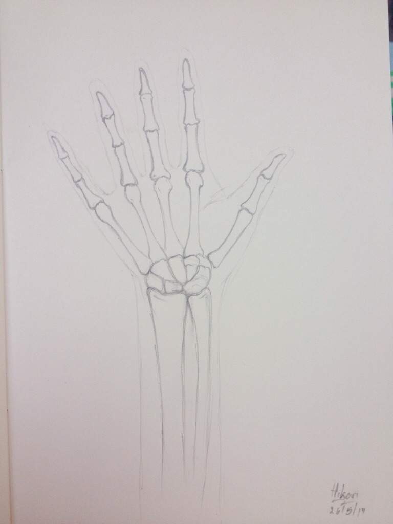 768x1024 Skeleton Hand Sketch Undertale Amino - Skeleton Hand Sketch